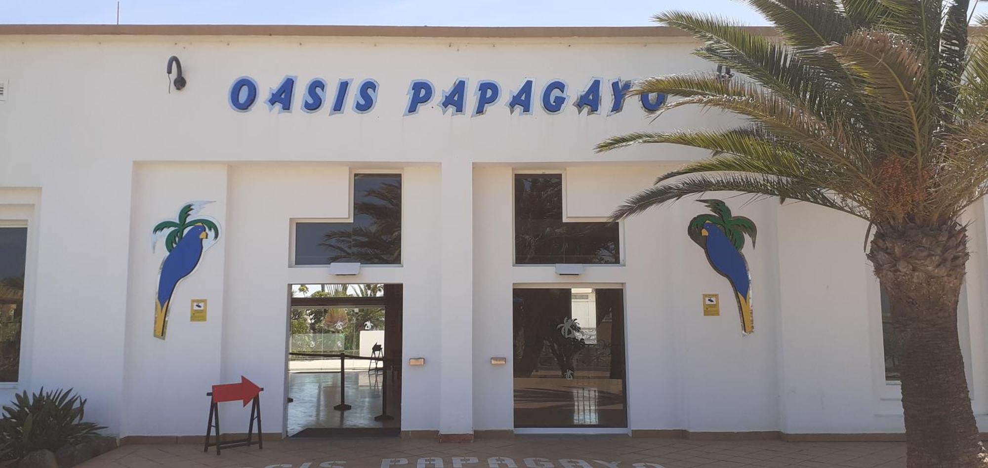 코라레호 Oasis Waves House Papagayo 아파트 외부 사진